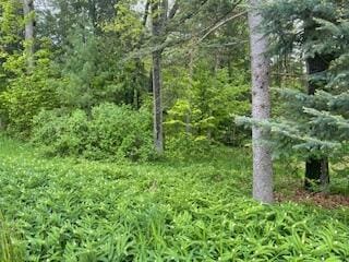 124 Cadillac Ave, Houghton Lake, MI 48629 - photo 3