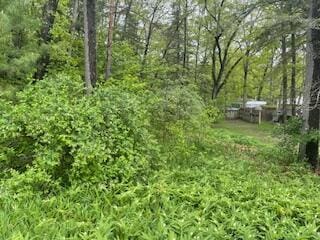 124 Cadillac Ave, Houghton Lake, MI 48629 - photo 4