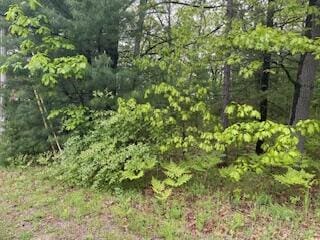 124 Cadillac Ave, Houghton Lake, MI 48629 - photo 6