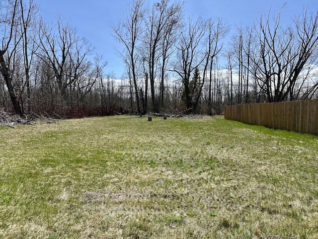 1117 Mackinaw Ave, Cheboygan, MI 49721 - view of yard featuring fence