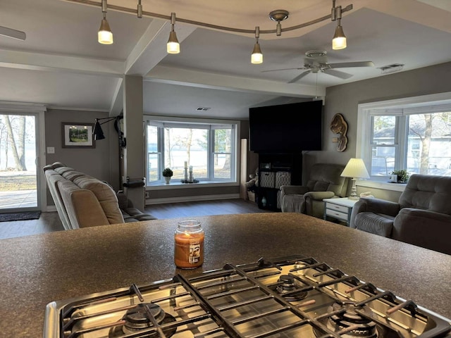 605 Sam-O-Set Blvd, Roscommon, MI 48653 - kitchen with open floor plan, wood finished floors, and a healthy amount of sunlight