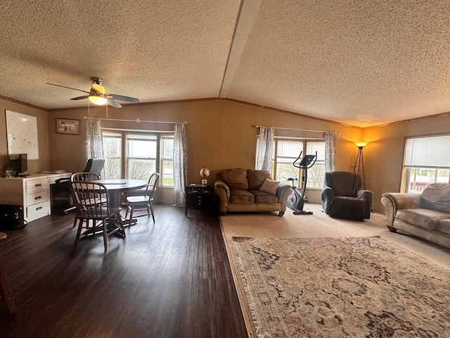 5128 Krys Rd, Gaylord, MI 49735 - living room with a healthy amount of sunlight, dark wood-style flooring, and a textured ceiling