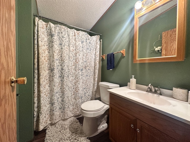 5128 Krys Rd, Gaylord, MI 49735 - bathroom with vanity, curtained shower, toilet, and a textured ceiling