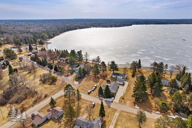 4565 Grant Dr, Lewiston, MI 49756 - birds eye view of property with a residential view, a view of trees, and a water view