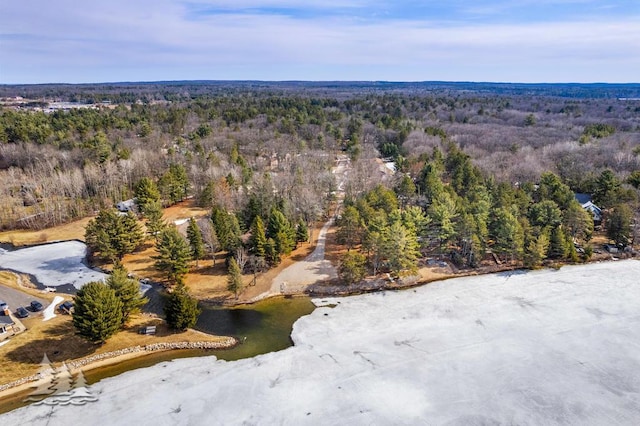 4565 Grant Dr, Lewiston, MI 49756 - bird's eye view featuring a forest view