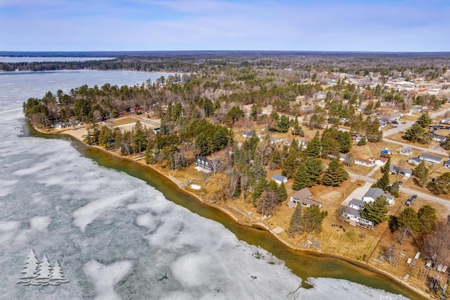 4565 Grant Dr, Lewiston, MI 49756 - drone / aerial view featuring a water view