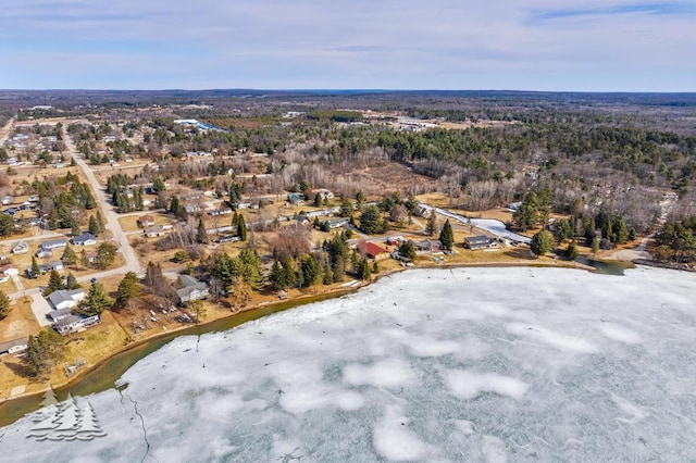 4565 Grant Dr, Lewiston, MI 49756 - drone / aerial view