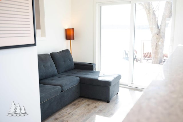 4565 Grant Dr, Lewiston, MI 49756 - living room featuring light wood finished floors