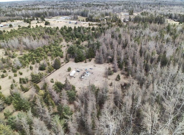 5280 Cathro Rd, Alpena, MI 49707 - photo 28