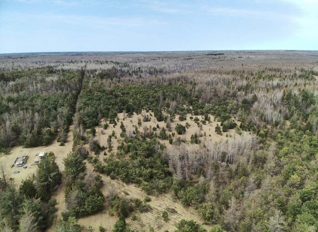 5280 Cathro Rd, Alpena, MI 49707 - photo 30