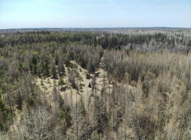 5280 Cathro Rd, Alpena, MI 49707 - photo 37