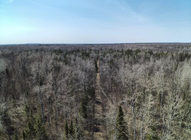 5280 Cathro Rd, Alpena, MI 49707 - photo 42
