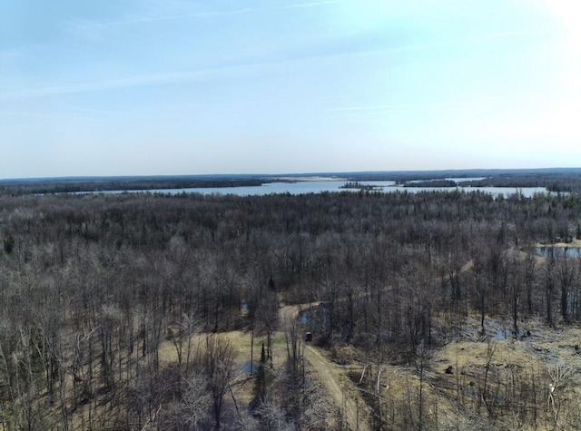 5280 Cathro Rd, Alpena, MI 49707 - photo 46