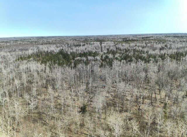 5280 Cathro Rd, Alpena, MI 49707 - photo 47