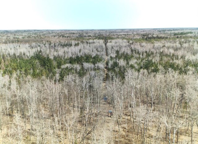 5280 Cathro Rd, Alpena, MI 49707 - photo 48