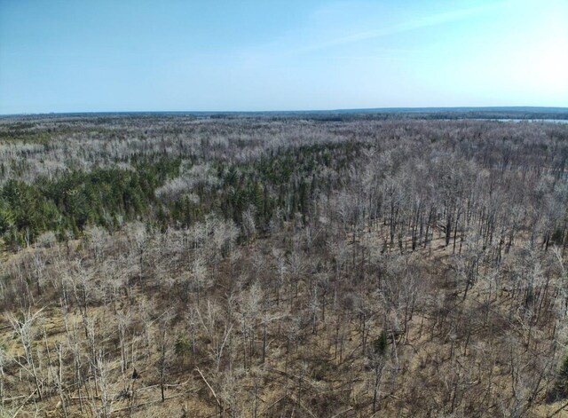 5280 Cathro Rd, Alpena, MI 49707 - photo 49