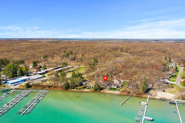 1384 W Higgins Lake Dr, Roscommon, MI 48653 - aerial view of a nearby body of water and a forest