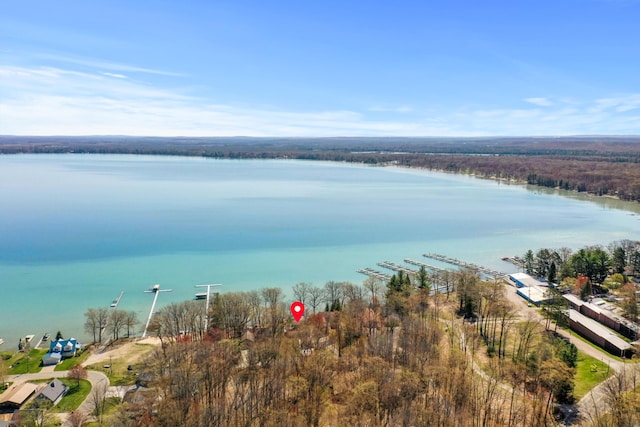 1384 W Higgins Lake Dr, Roscommon, MI 48653 - aerial view of a large body of water