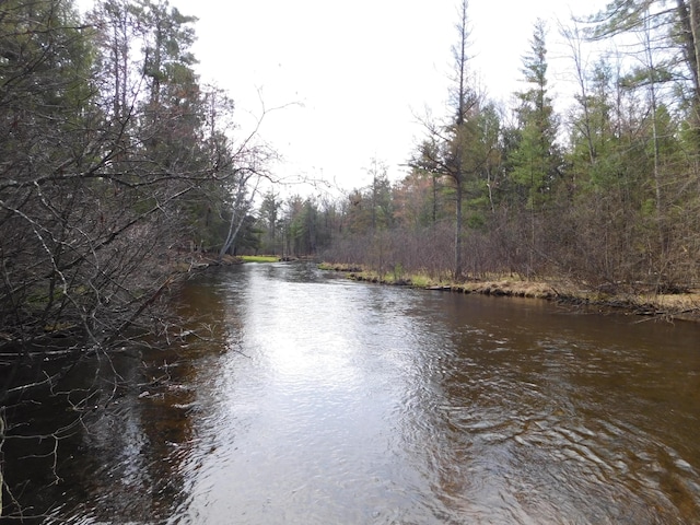 view of water feature with a view of trees