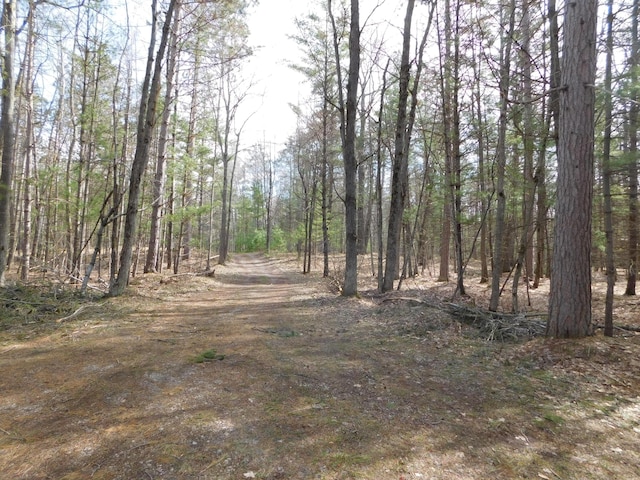 view of nature with a view of trees