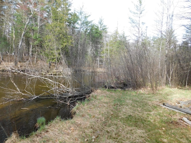 view of nature