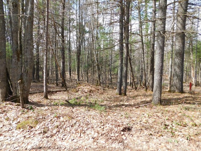 view of local wilderness featuring a forest view