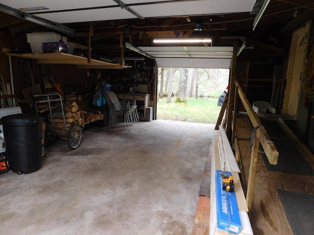 277 Wendy Ln, Grayling, MI 49738 - view of garage