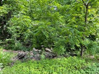 Oconnor St, Hale, MI 48739