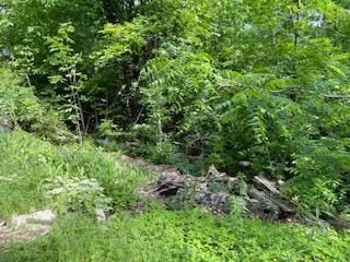 Oconnor St, Hale, MI 48739