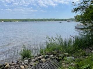 Oconnor St, Hale, MI 48739