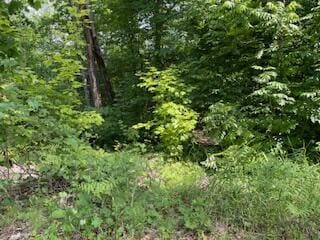 Oconnor St, Hale, MI 48739