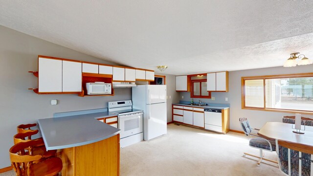 1020 Iroquois Ave, Prudenville, MI 48651 - photo 14