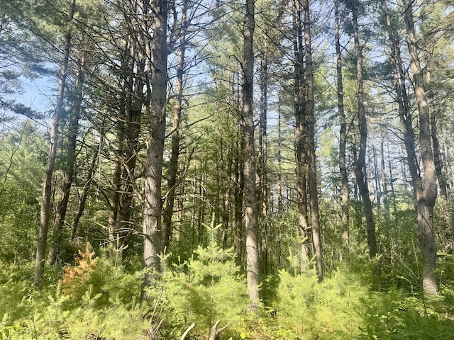 Sturgis Rd, Atlanta, MI 49709 - photo 6
