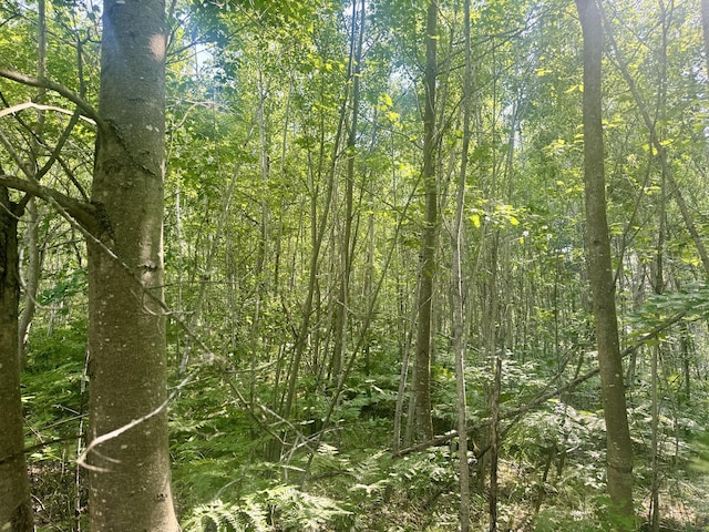 Sturgis Rd, Atlanta, MI 49709 - photo 7