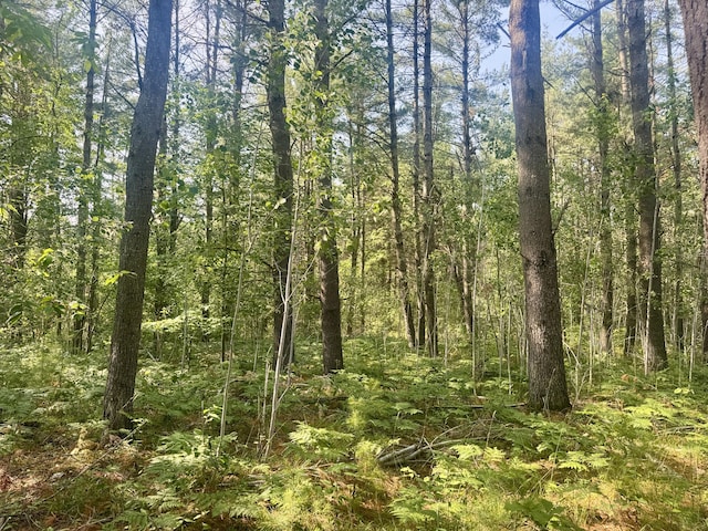 Sturgis Rd, Atlanta, MI 49709 - photo 1