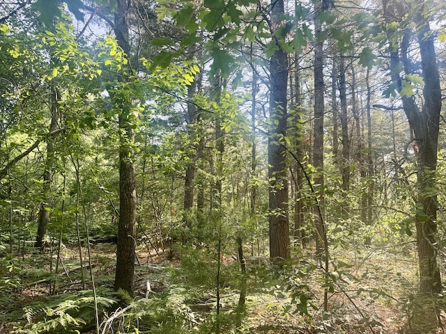 Sturgis Rd, Atlanta, MI 49709 - photo 8