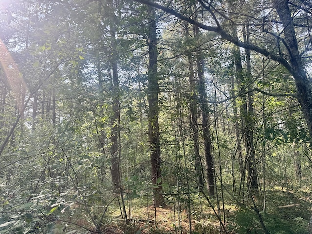 Sturgis Rd, Atlanta, MI 49709 - photo 4