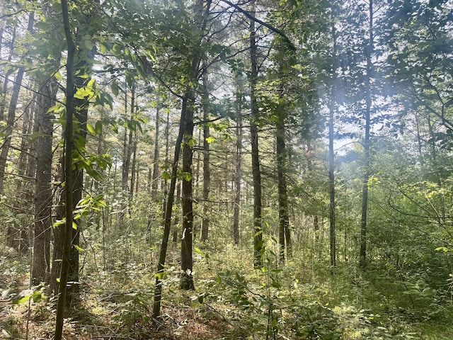 Sturgis Rd, Atlanta, MI 49709 - photo 10