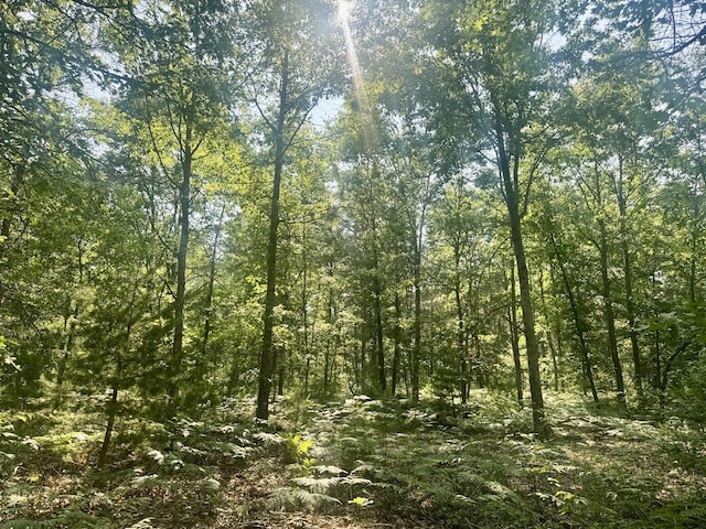 Sturgis Rd, Atlanta, MI 49709 - photo 2