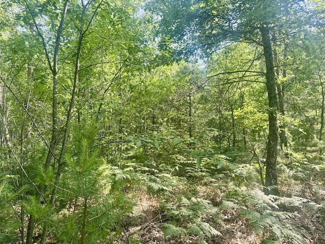 Sturgis Rd, Atlanta, MI 49709 - photo 11