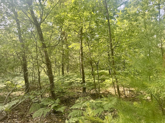 Sturgis Rd, Atlanta, MI 49709 - photo 12