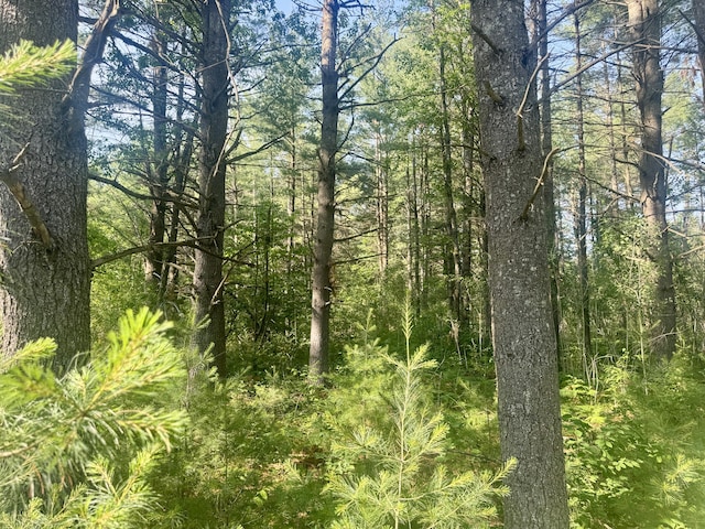 Sturgis Rd, Atlanta, MI 49709 - photo 14