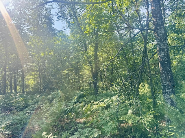 Sturgis Rd, Atlanta, MI 49709 - photo 15