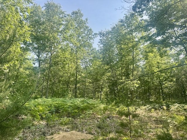 Sturgis Rd, Atlanta, MI 49709 - photo 16