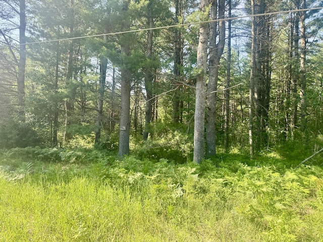 Sturgis Rd, Atlanta, MI 49709 - photo 13