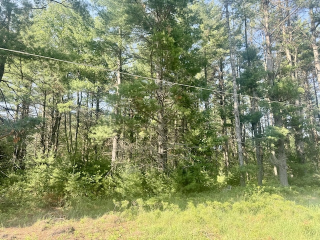 Sturgis Rd, Atlanta, MI 49709 - photo 17