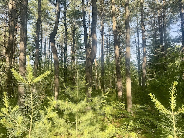 Sturgis Rd, Atlanta, MI 49709 - photo 18