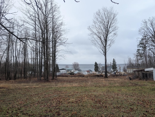20776 Tennis Rd, Hillman, MI 49746 - view of yard featuring a water view