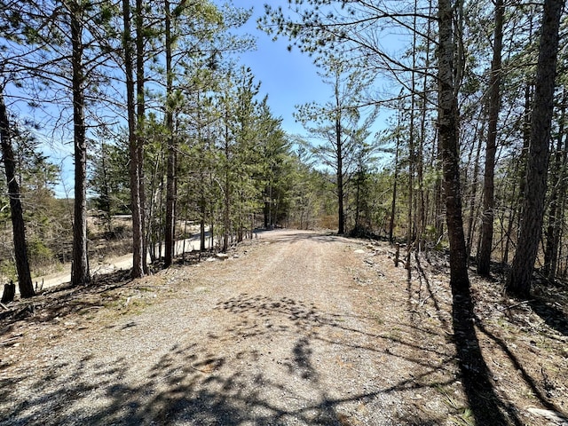 view of street featuring a wooded view