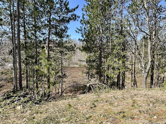 view of local wilderness